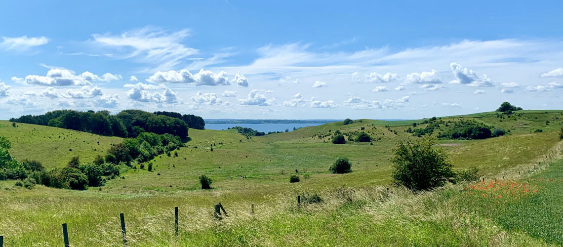 fotograf-foretag-norrkoping-landskap Fotograf för företag i Norrköping, bild på landskap.